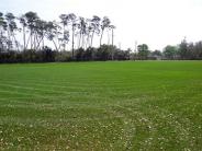 Rob Sullivan Park MP Field